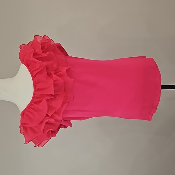 NWT Anna Bella Fuschia Pink Ruffle Blouse. LARGE. - Picture 3 of 7